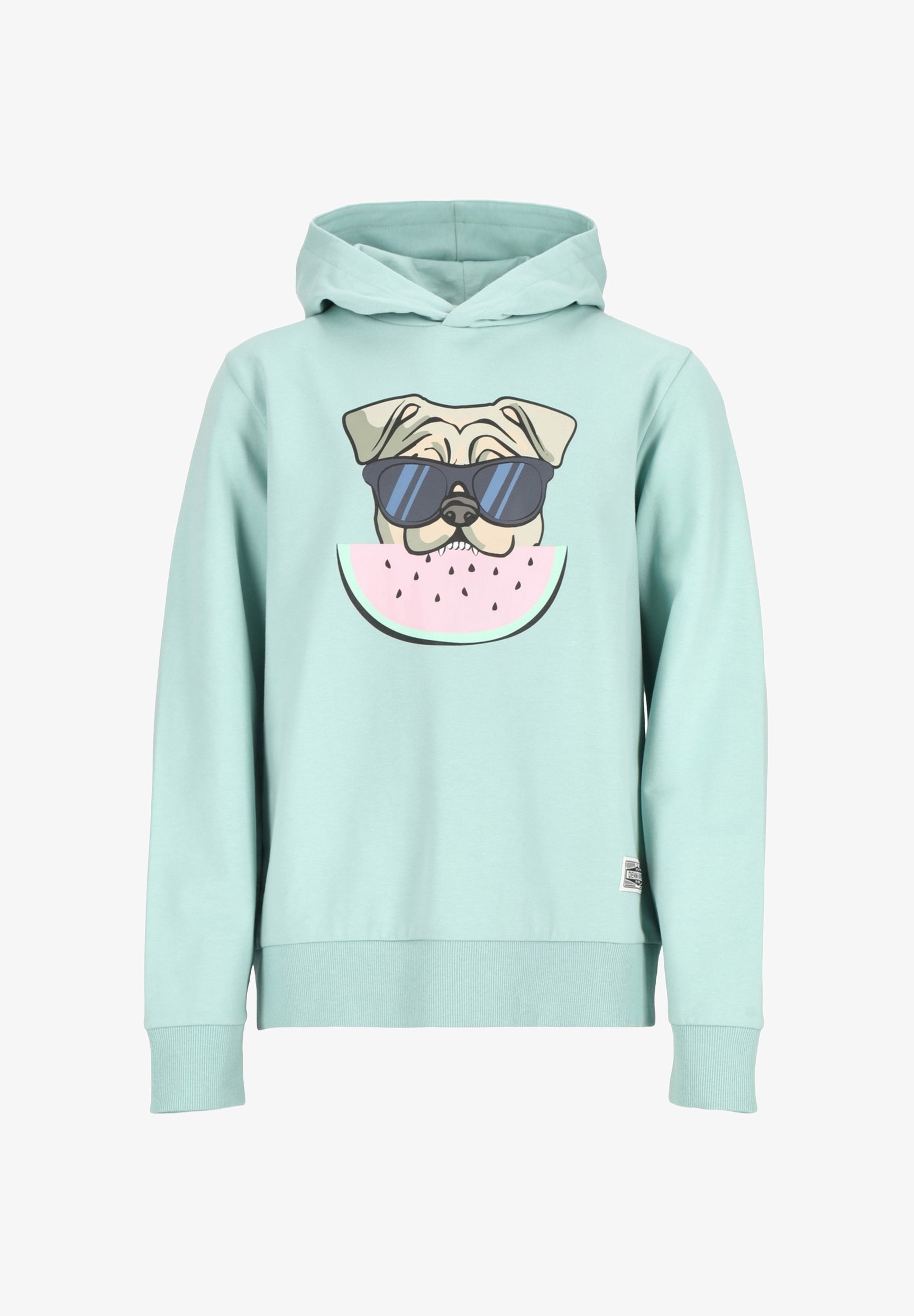 Denim Factory SAN DIEGO - Hoodie - saliegroen watermeloen