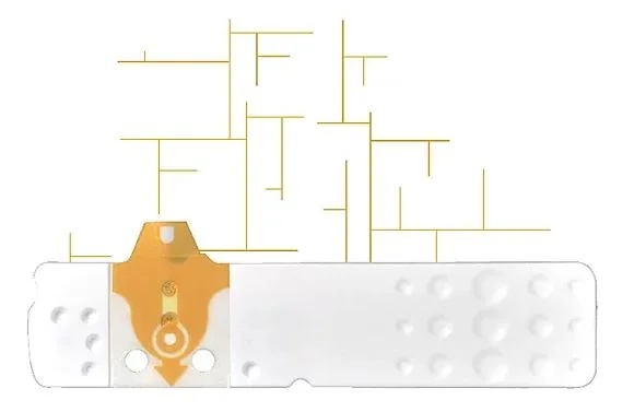 BIOSEVEN Linea D Oro 25Str Glykämie