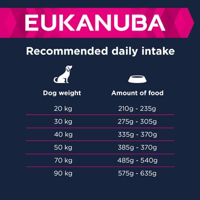 Eukanuba Senior Stor & Gigantrase – Lam & Ris