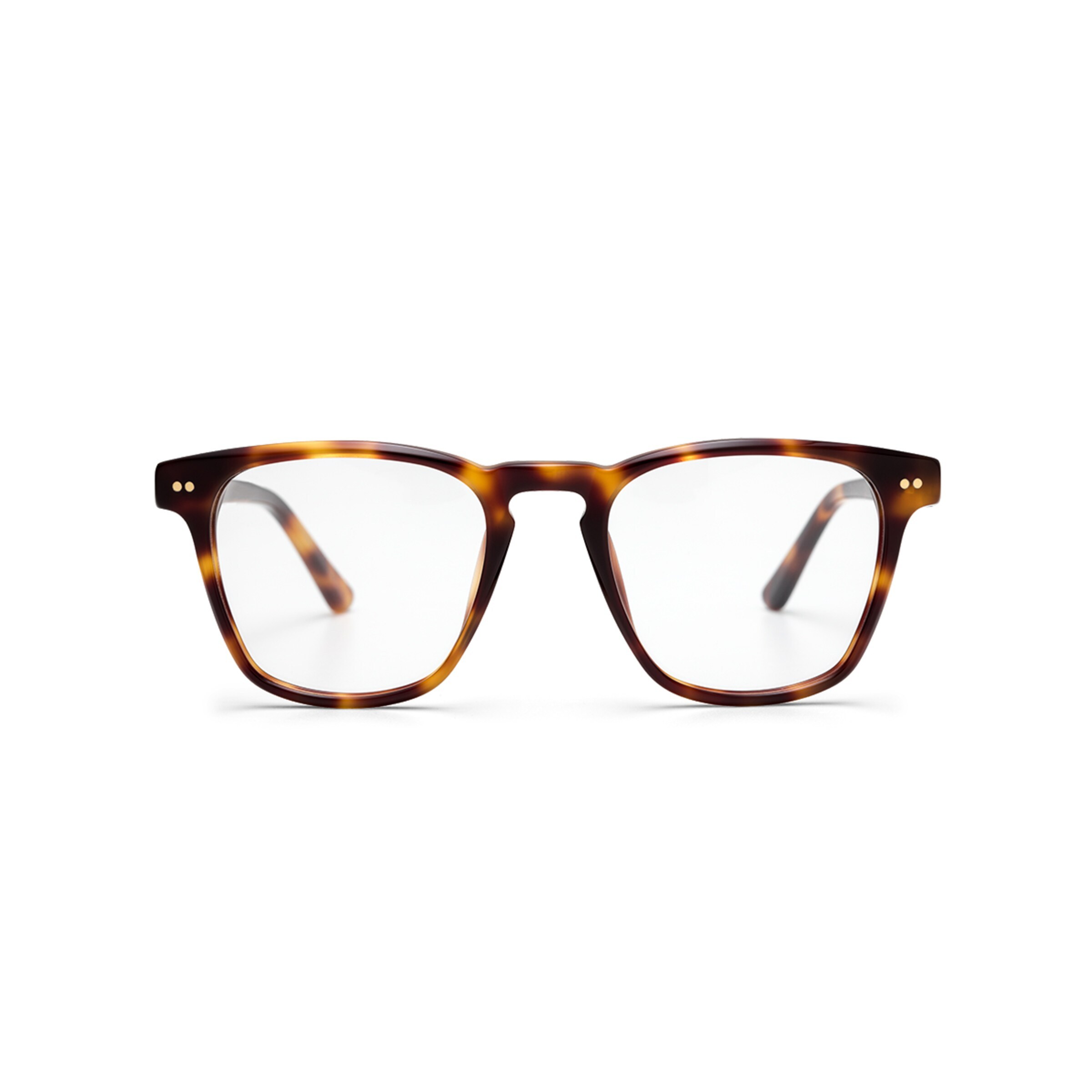 Tortue Carlton Shine avec ordonnance