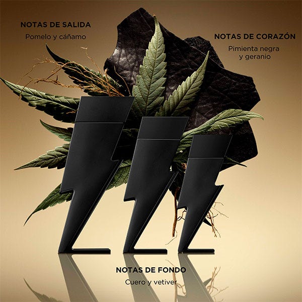 Bad Boy Le Parfum