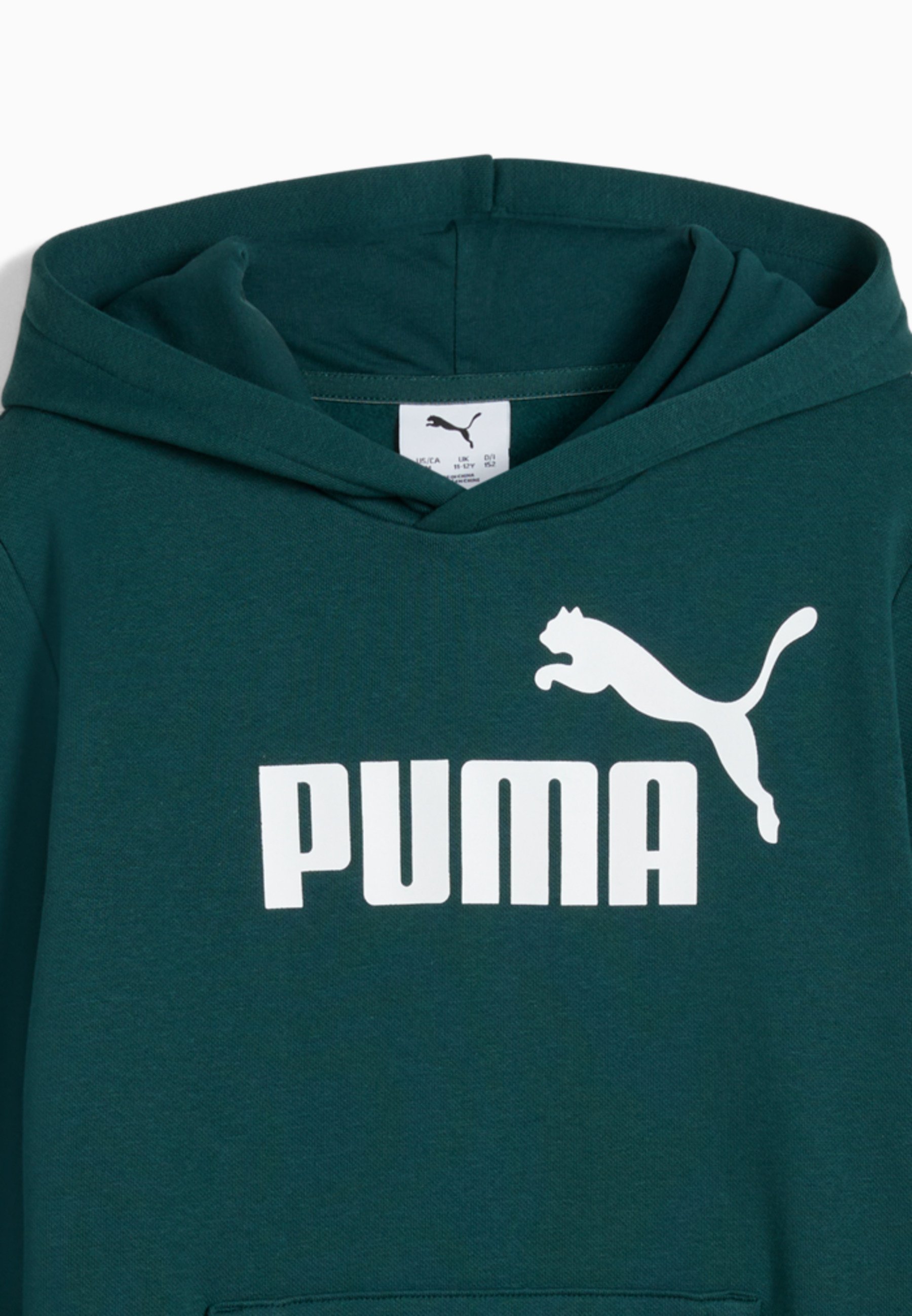 Puma LOGO - Hoodie - grünes Terrain