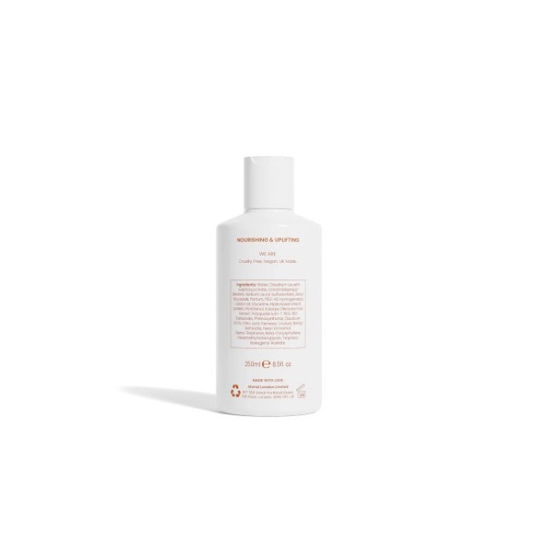 Atenai London Sanctuary šampon 250ml