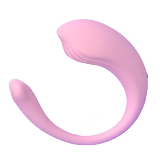 S-Hande Whale Mini-RTC