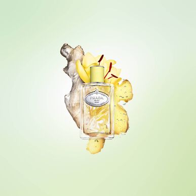 Prada Prada Les Infusions Gingembre Eau de Parfum 100 ml 100 ml