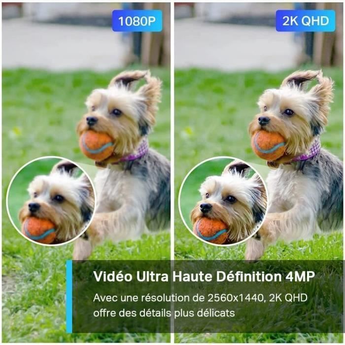 Caméra Surveillance WiFi extérieur - TP-Link TAPO C320WS - QHD 4MP(2K+) - Vision nocturne - IP66 - Compatible Alexa