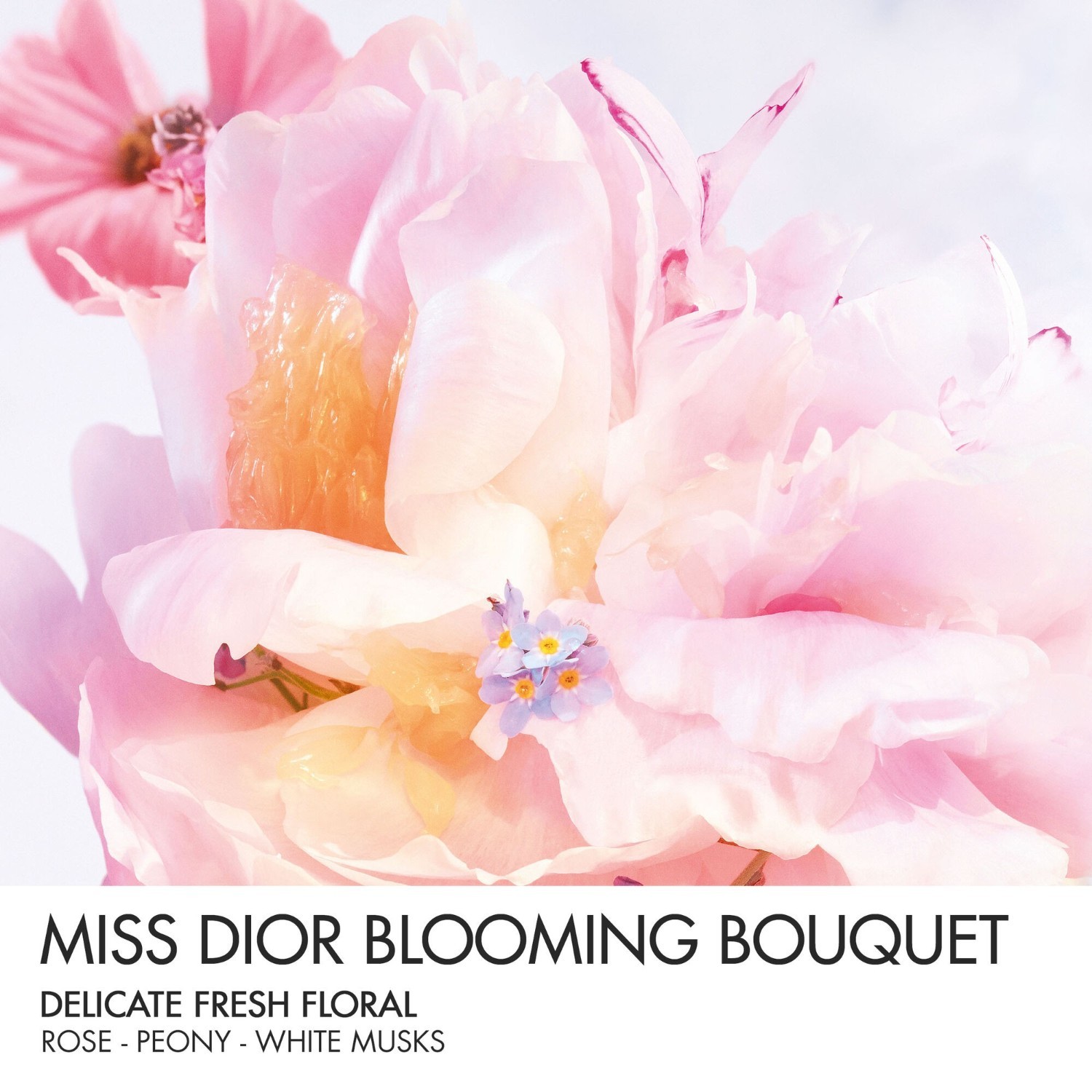 DIOR toaletna voda Miss Dior Blooming Bouquet Roller-Pearl - 20 ml