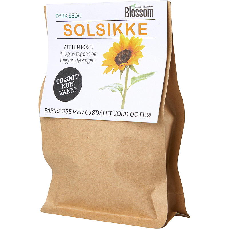 Blomväxlingspåse Solrosfrön, Blomma