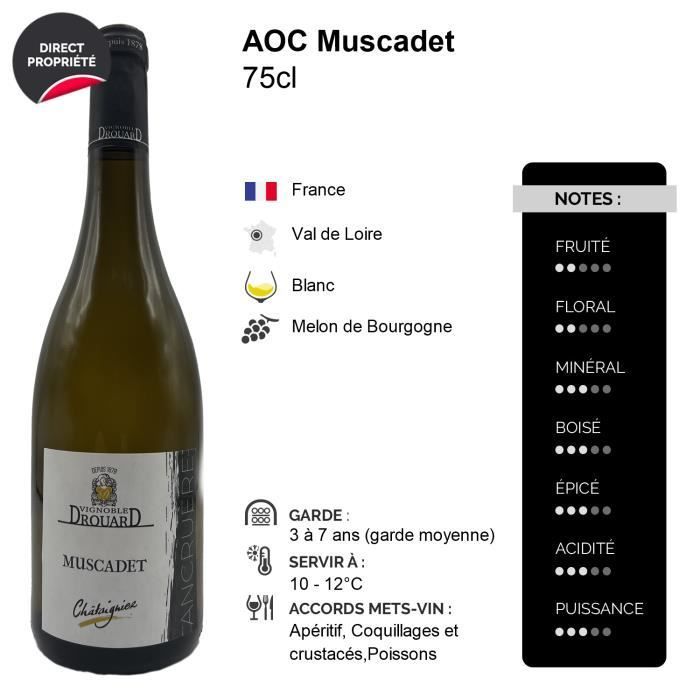 Muscadet Ancruere 