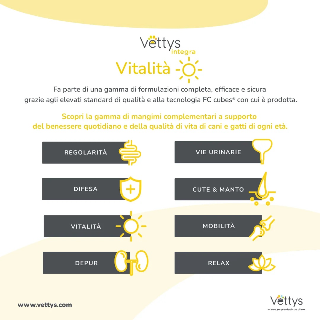 VETTYS Vettys Integra Vitality Dog 30 tabletten Energietonicum