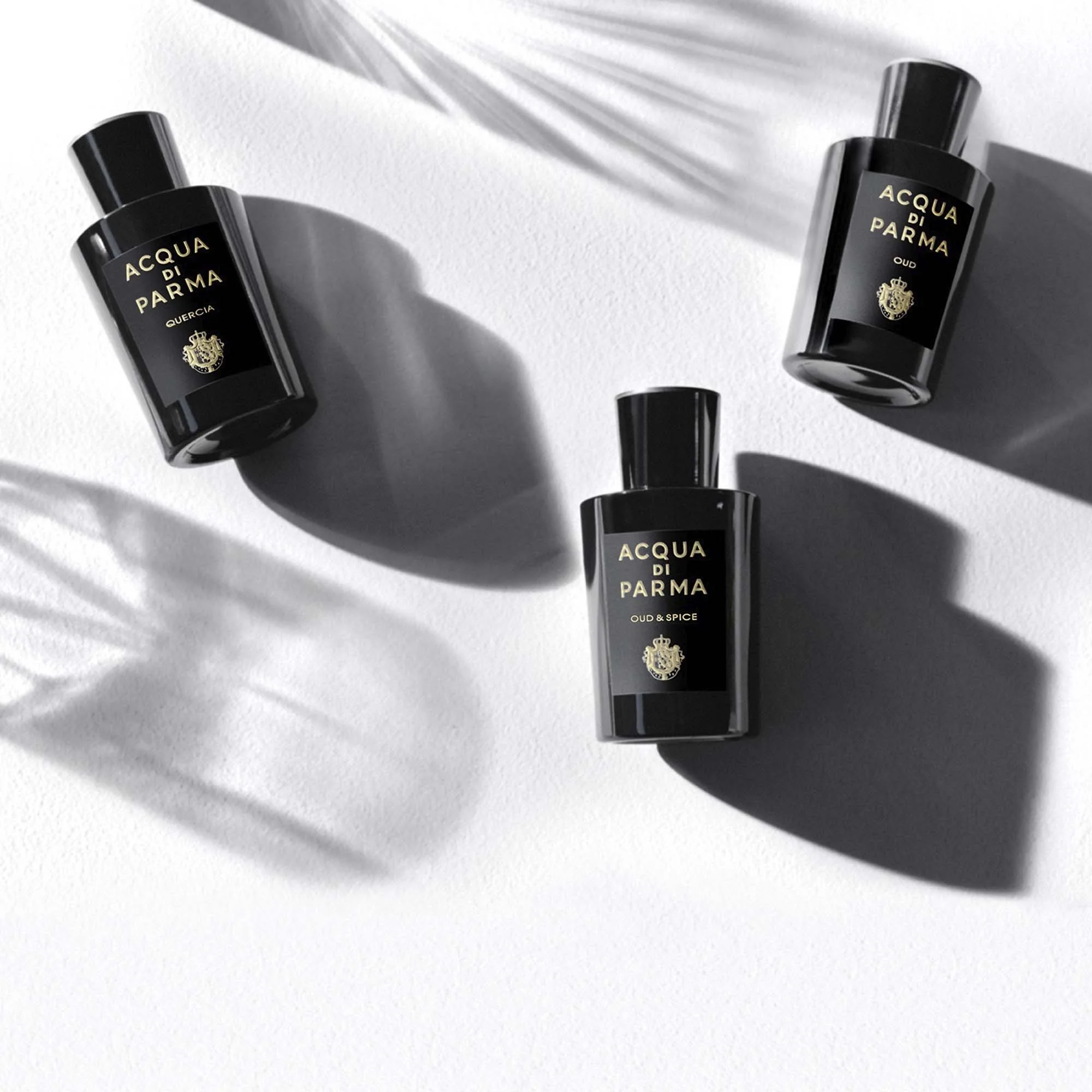 Signatures of the Sun Oud & Spice - Eau de Parfum Unisex, Eau de Parfum