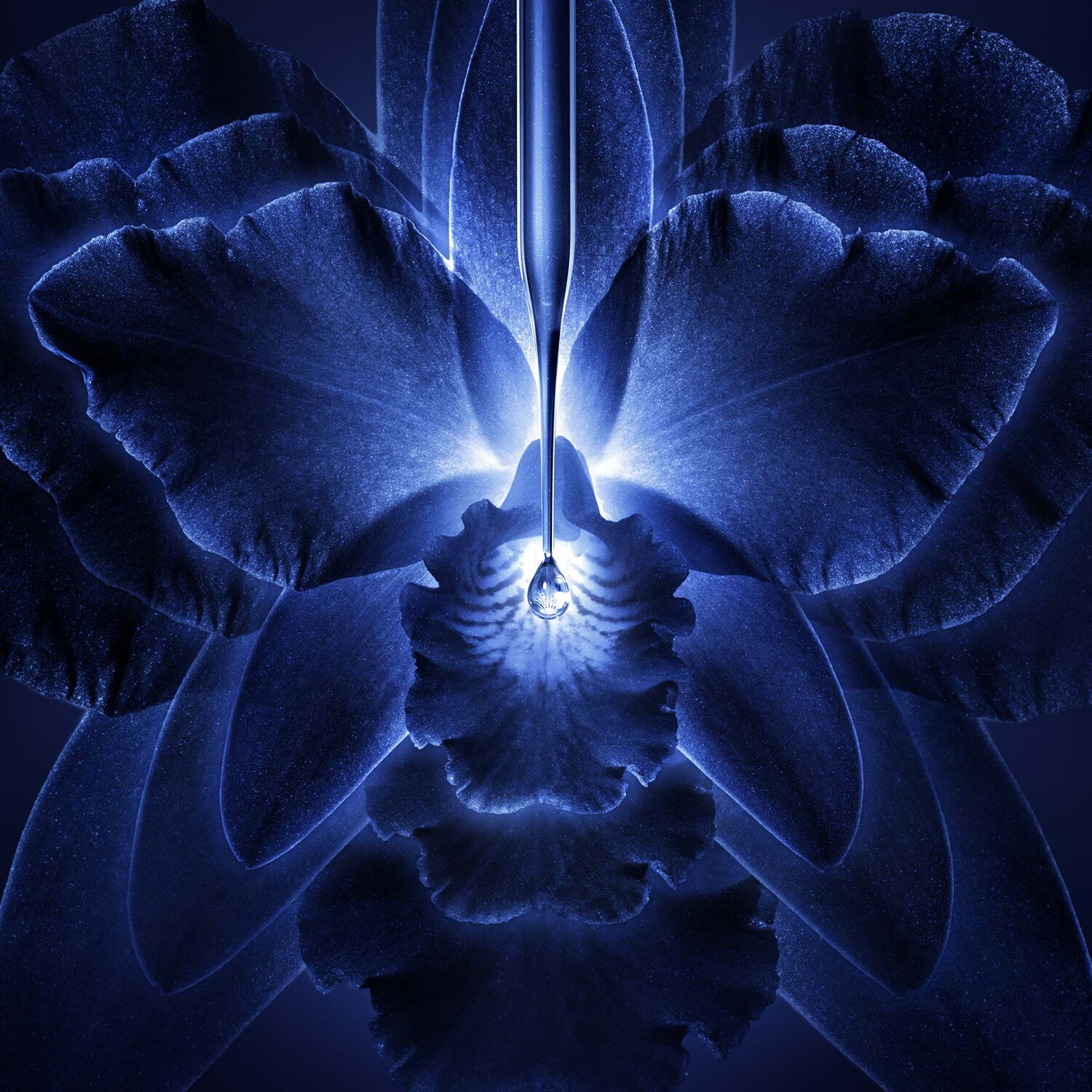 Imperial Orchid Light Cream - Krem do twarzy
