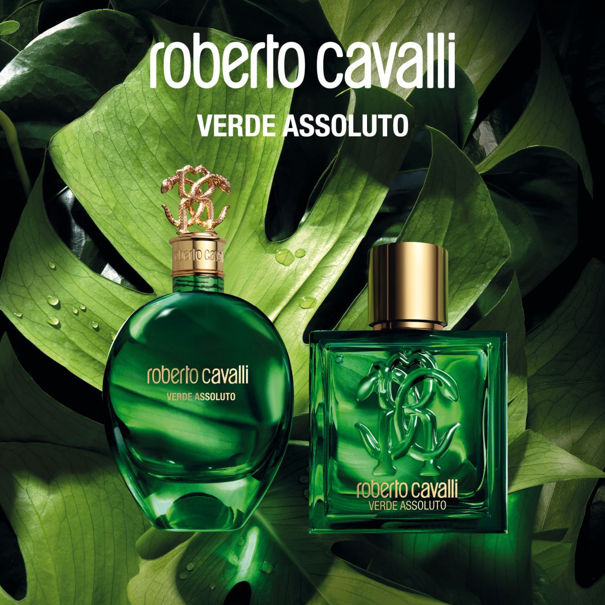 Roberto Cavalli UOMO VERDE ASSOLUTO