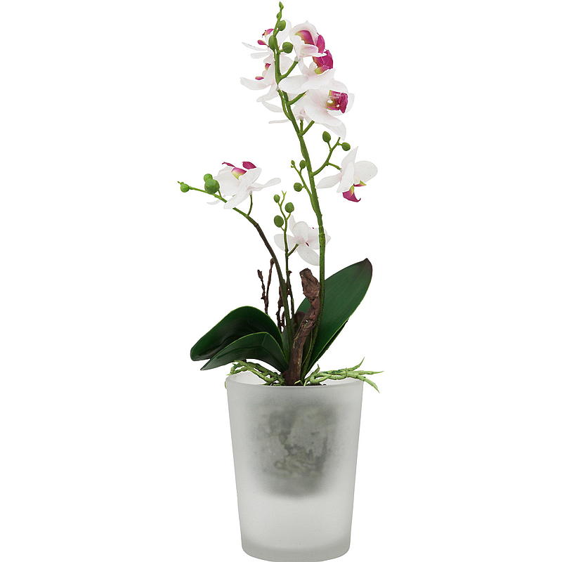Maceta para orquídeas Alsta ø 13x16 cm