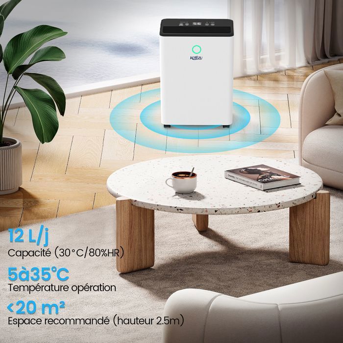 Electric Air Dehumidifier 12L/Day, 3 Modes - Auto/Continuous/Custom, 5 to 20m² Bedroom/Office, 2.5L Tank, 240W