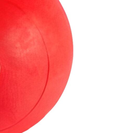 Slam Ball Fitness Deluxe Diverse Gewichten