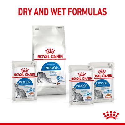 Royal Canin Indoor stérilisé en gelée