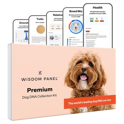 Wisdom Panel™ Premium Hunde-DNA-Test