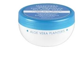 Mascarilla hidratante con aloe vera para cultivadores de plantas.