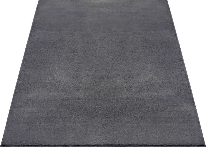 Tapis Salon - THE CARPET - Cosy - Lavable - Oeko-Tex - Anthracite - 240x340 cm