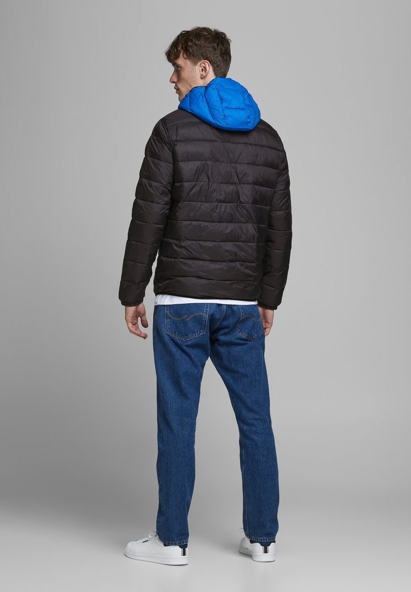 Jack & Jones KLASSISCHE - Winterjacke - Marineblau