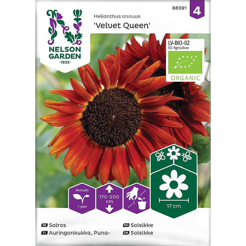 Nelson Garden Seeds Sunflower Velvet Queen, ekologisk