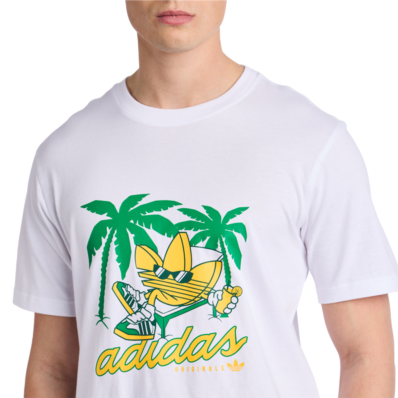adidas grafika