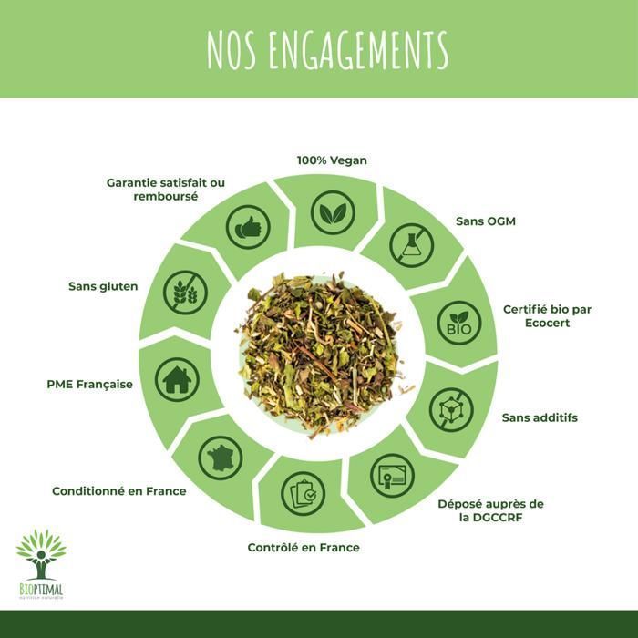 Tè biologico dimagrante e detox - Infuso sfuso - Tè verde, zenzero, ortica, tarassaco - Prodotto in Francia - 150 g