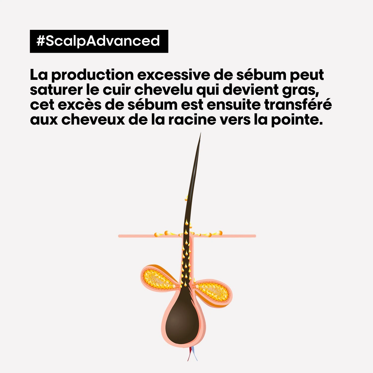 L´Oréal Professionnel Paris Dermo-purifiant