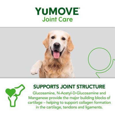 YuMOVE gewrichtsverzorging voor oudere honden