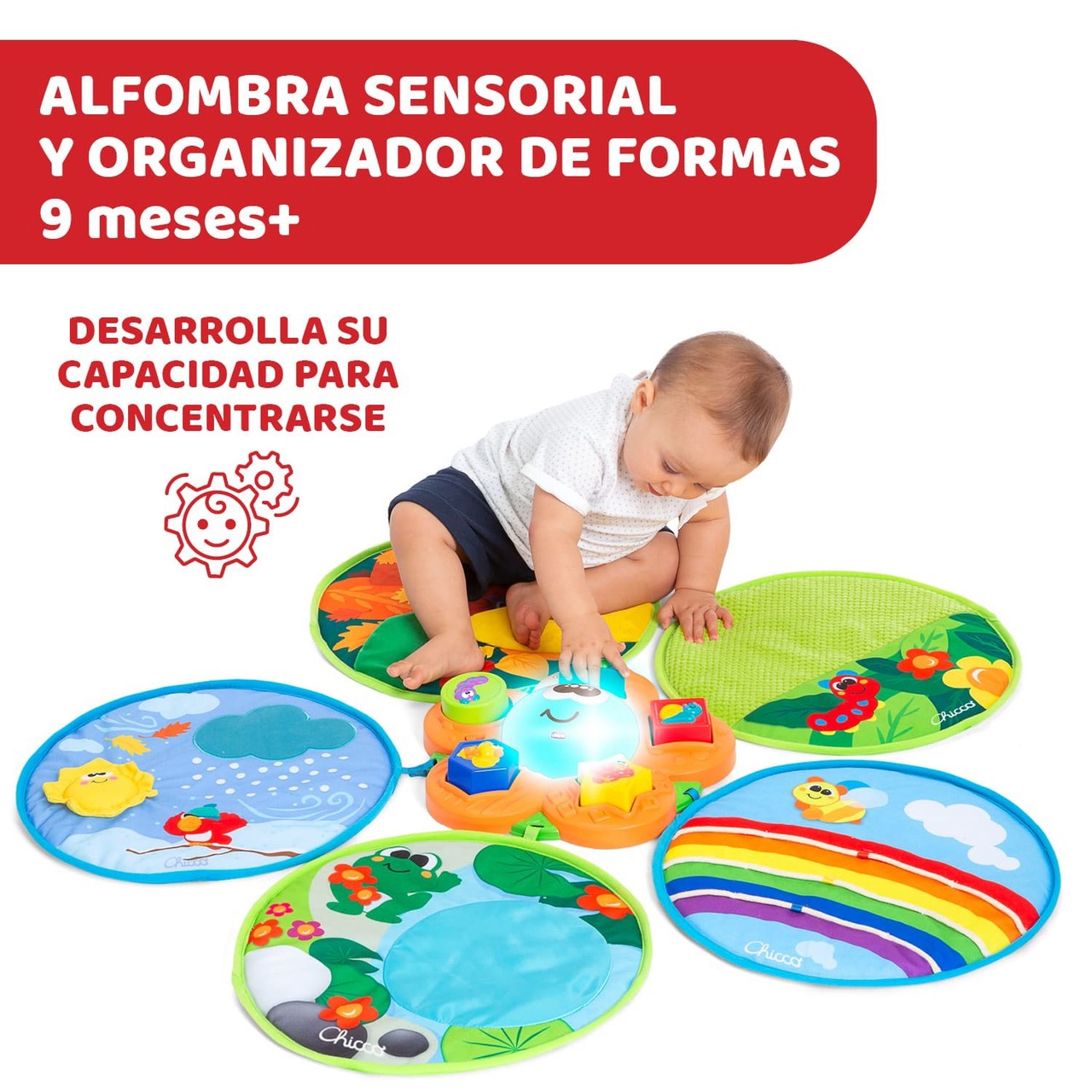 Tapet Multisenzorial
