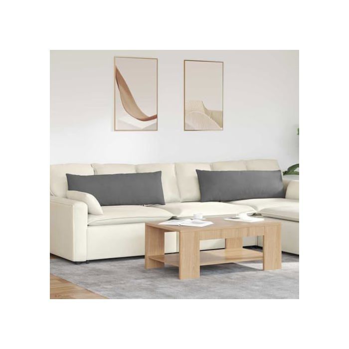 Coussins de canapé en tissu - vidaXL - Gris foncé - 120x40x20 cm - Housses amovibles - Rembourrage polyester - Lot de 2
