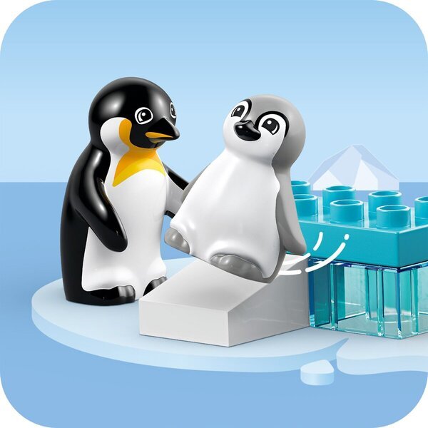 LEGO Duplo 10442 Laukinių gyvūnų šeimos: pingvinai ir liūtai<br>