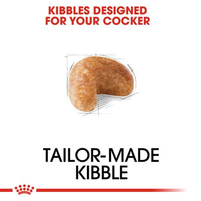 Royal Canin Cocker Spániel felnőtt kutyatáp