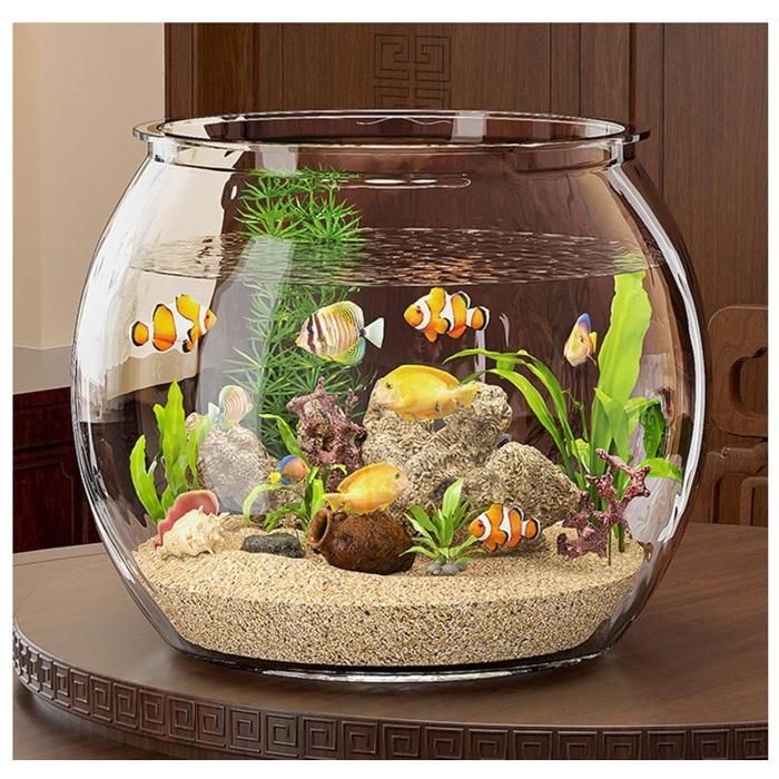 Aquarium de Bureau Bol À Poissons Transparent Petit Aquarium en Verre Vase à Poissons Bocal À Poissons pour Table À Table Affichage
