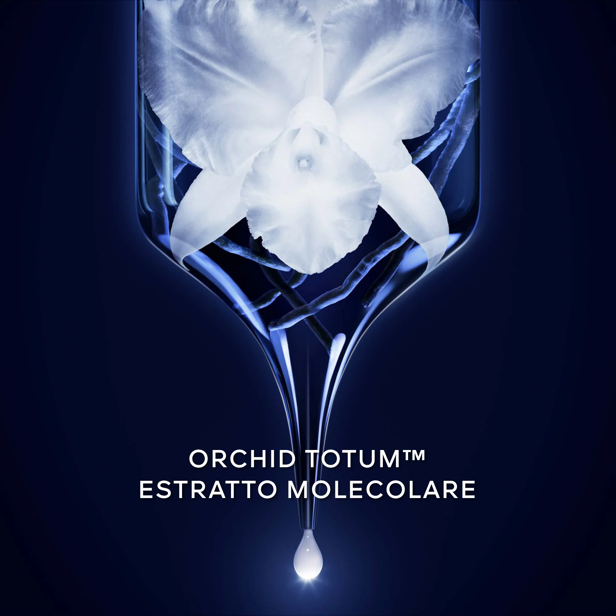 Orchidée Impériale La Mousse En Crème - Crema detergente viso, Mousse detergente viso