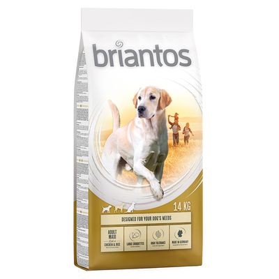Briantos Maxi Adulto
