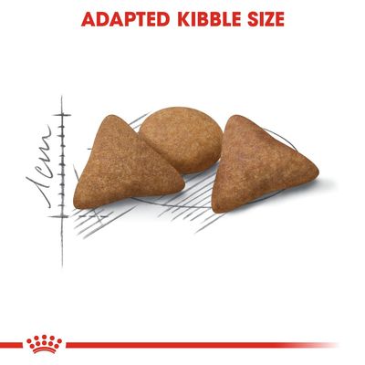 Royal Canin Controllo dell'appetito per interni