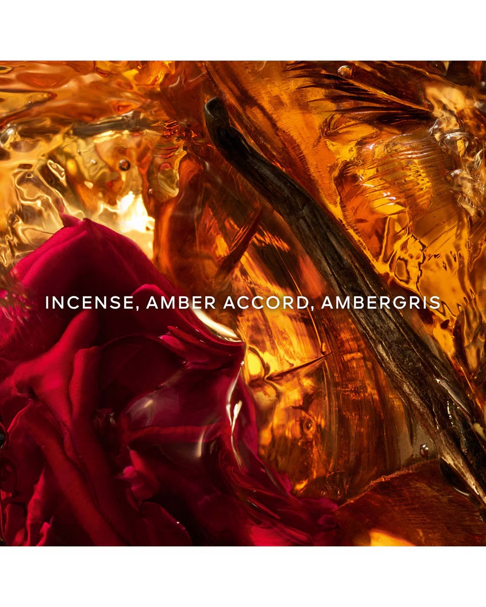 GUERLAIN Absolus Allegoria Ambre Samar - parfumūdens