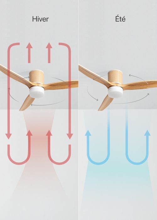 Ventilatore da soffitto - Create - Con luce - Silenzioso - Ø132 cm - LED
