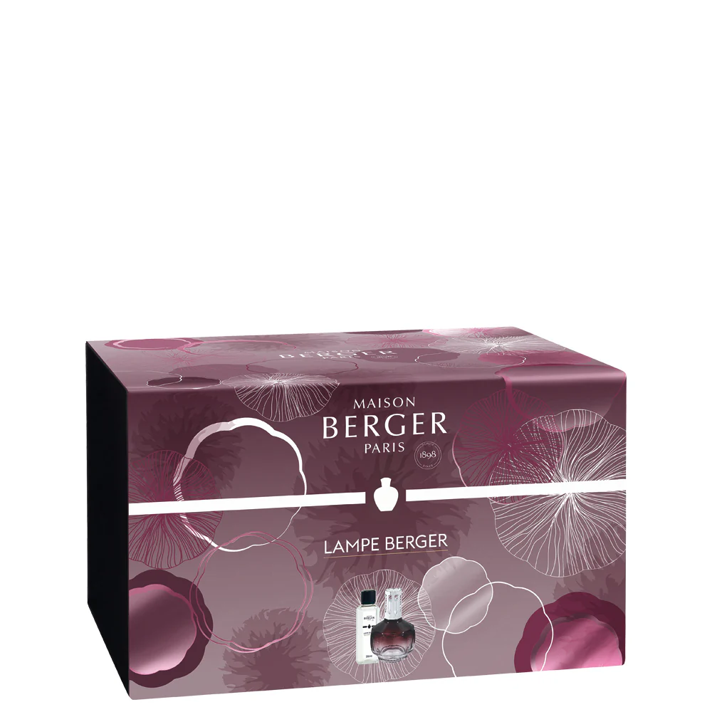 Lampe Coffret Molecule Prune - Cofanetto con Lampada, Lampada Catalitica