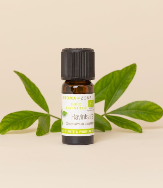 Huile essentielle Ravintsara (Ravintsare) BIO 10ml