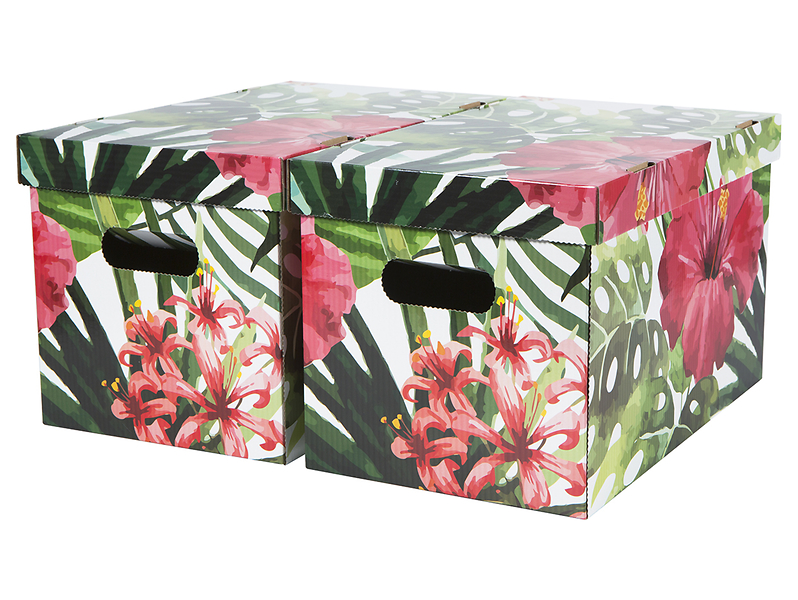 Komplet pudeł kartonowych Filodendron 19x30 cm