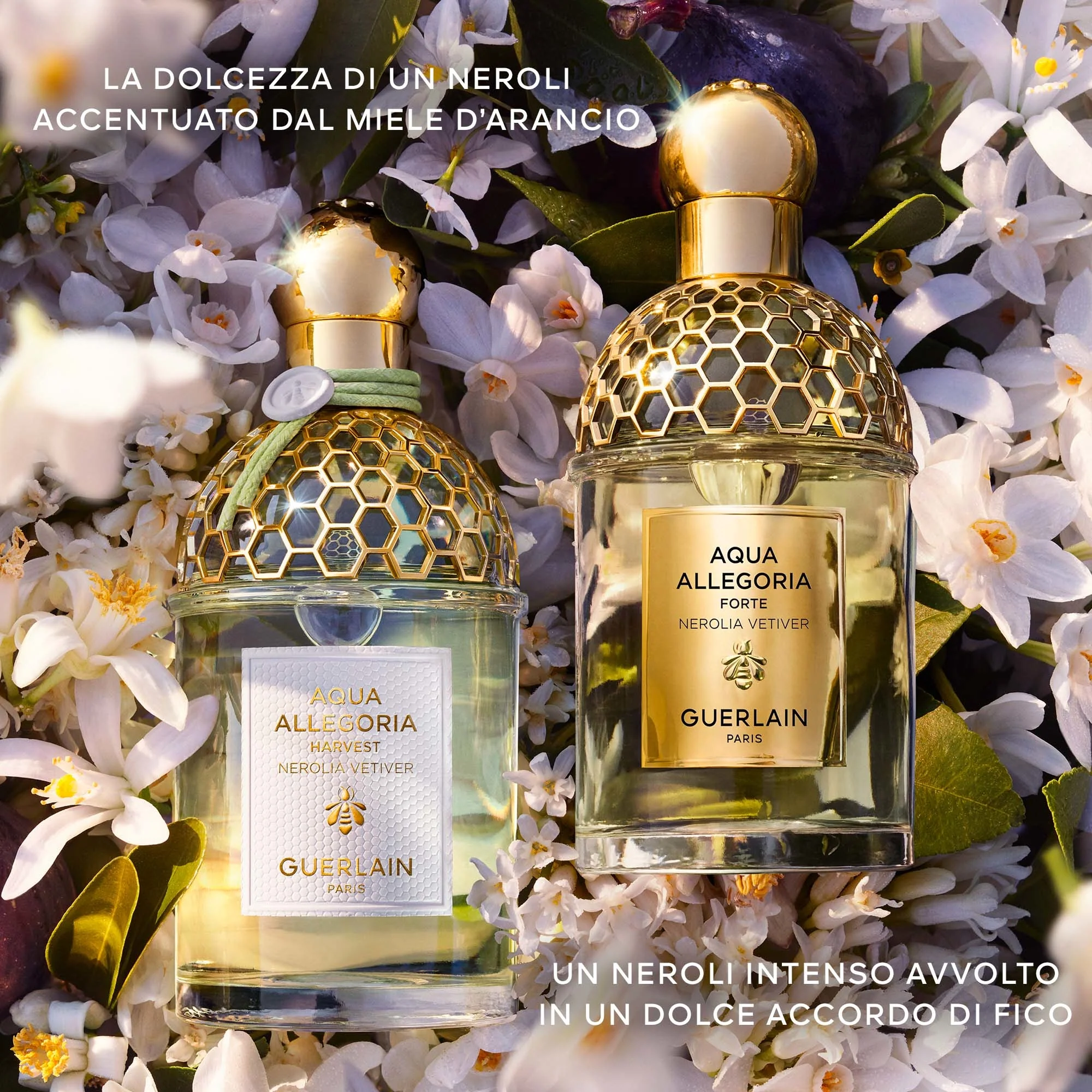 Aqua Allegoria Nerolia Vetiver Harvest - Eau de Toilette