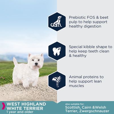 Eukanuba West Highland White Terrier (Erwachsener)