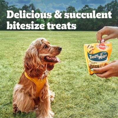 Pedigree Mini Bites