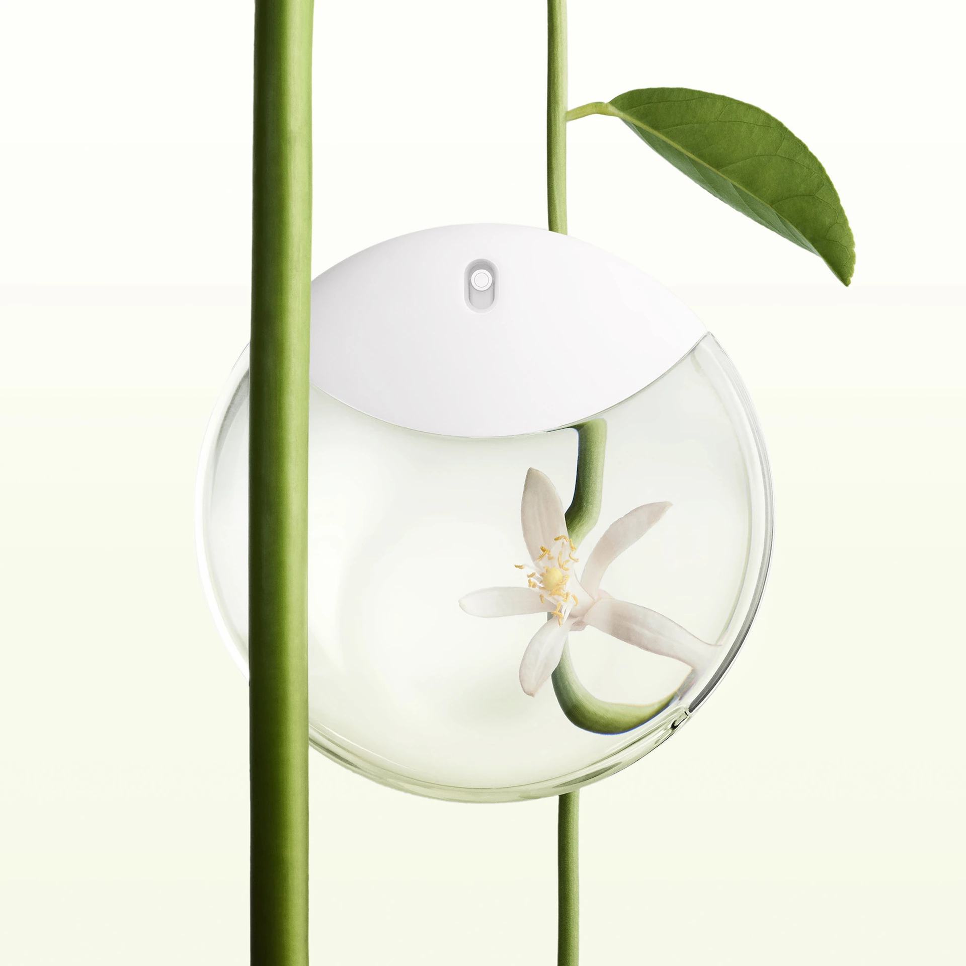 A Drop D'Issey EdP 30 ml - Issey Miyake