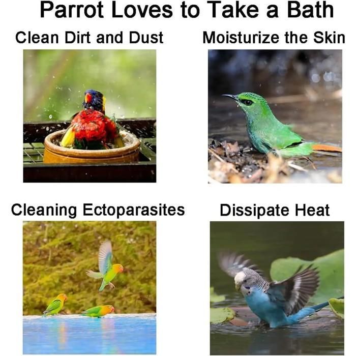 Baignoire pour perroquet - ULISEM - Plastique épais - Perchoir intégré - Fond en filet antidérapant
