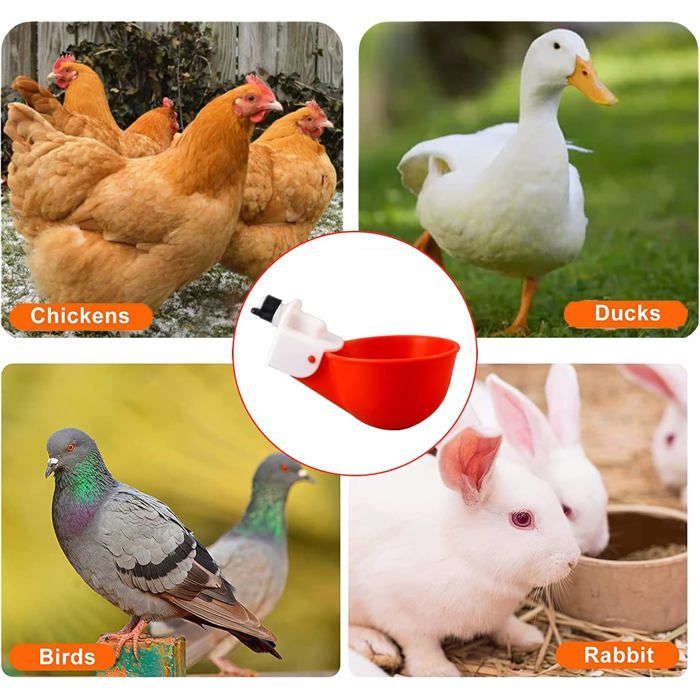 10 dispensadores automáticos de agua para pollos, bebederos para pollos, patos, pavos, gansos y aves.