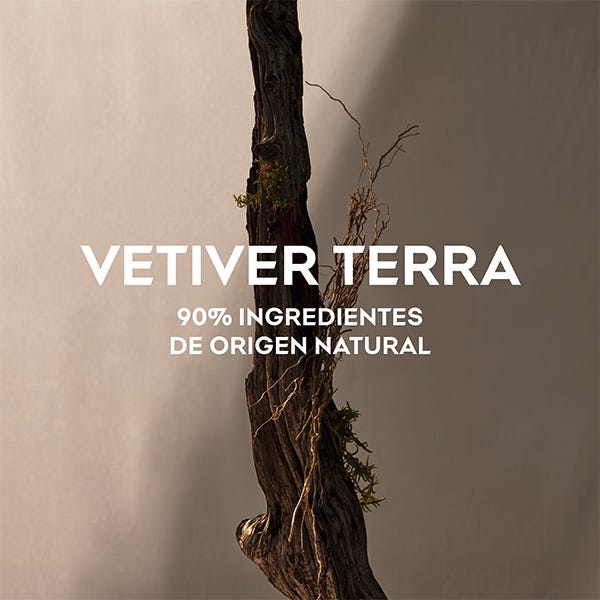 Adolfo Dominguez Vetiver Terra